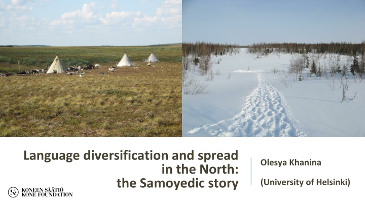 Language Diversification in the North: The Samoyedic Story