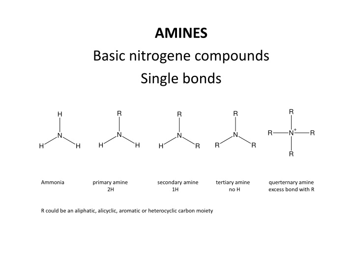Overview of Amines: Structures, Reactions, and Functional Groups