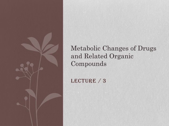Metabolic Changes of Drugs: Oxidation of Nitrogen Containing Compounds
