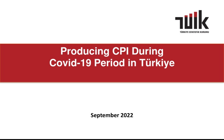 Producing CPI During Covid-19 Period in Türkiye