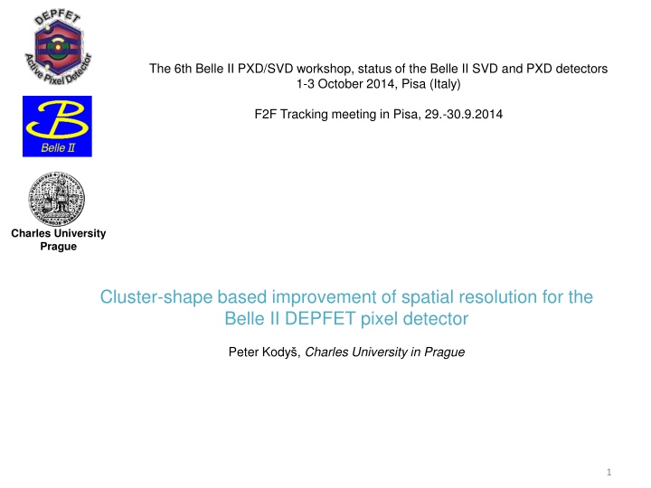 Status of Belle II SVD and PXD Detectors Workshop