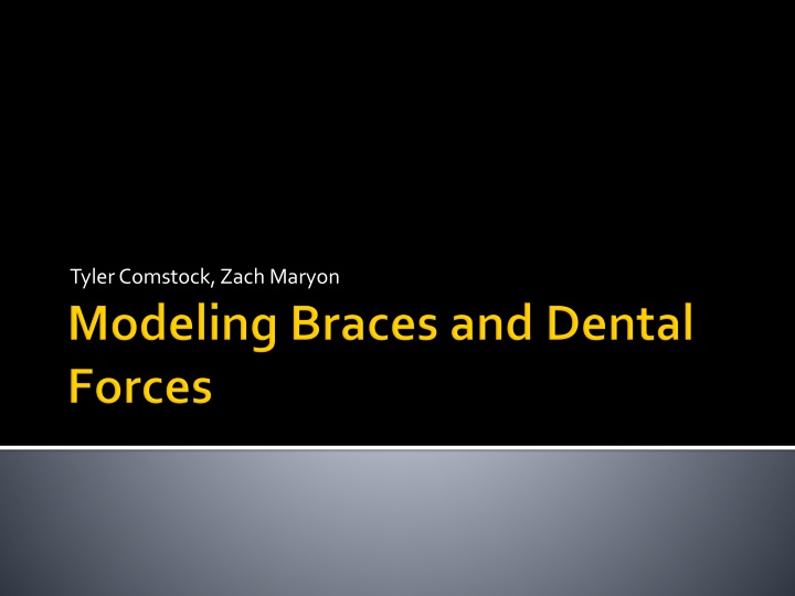 Modeling Orthodontic Wire Forces on Human Teeth