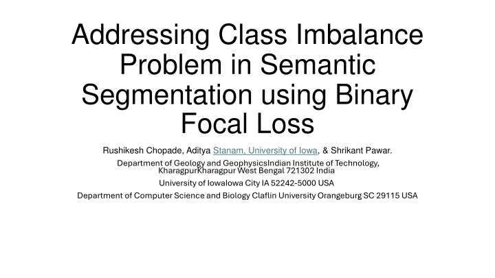 Addressing Class Imbalance Problem in Semantic Segmentation using Binary Focal Loss