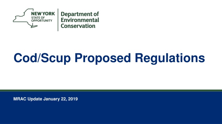 Cod/Scup Proposed Regulations