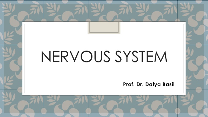 The Nervous System