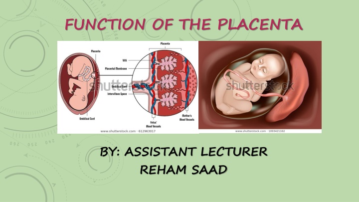 Functions of the Placenta in Pregnancy