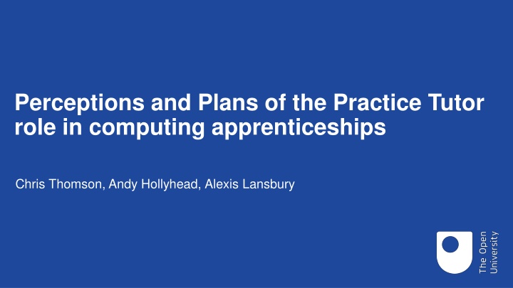 Practice Tutor Role in Computing Apprenticeships: Perceptions & Plans
