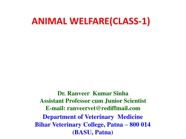 Animal Welfare and Society: Promoting Respect and Justice