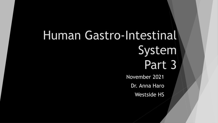 The Human Gastrointestinal System