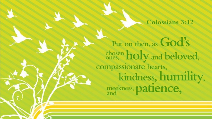 Clothe Yourself with Compassion and Kindness