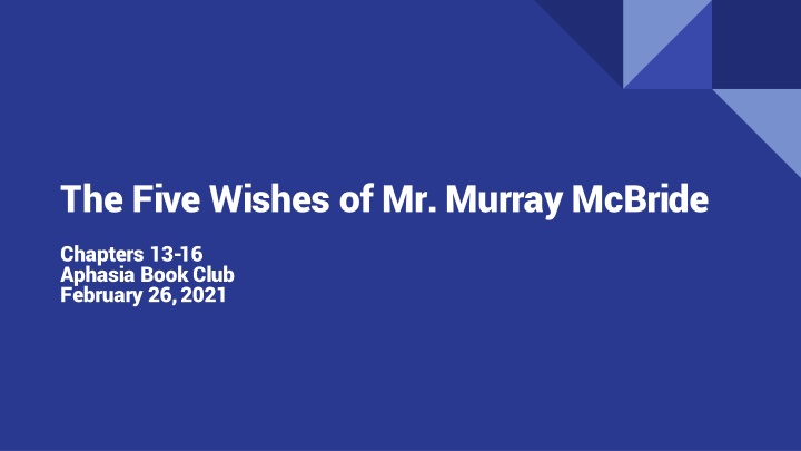 Mr. Murray McBride's Journey - Chapters 13-16 Review