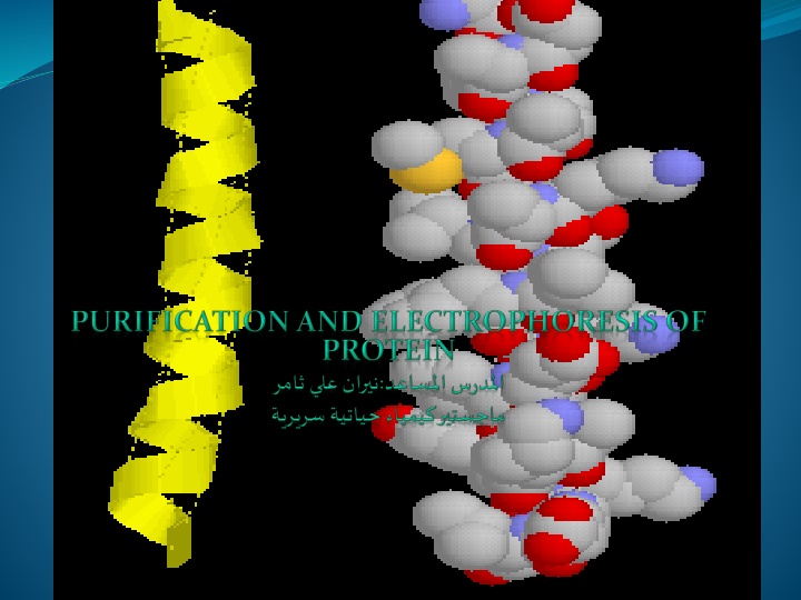 Protein Isolation and Purification Techniques