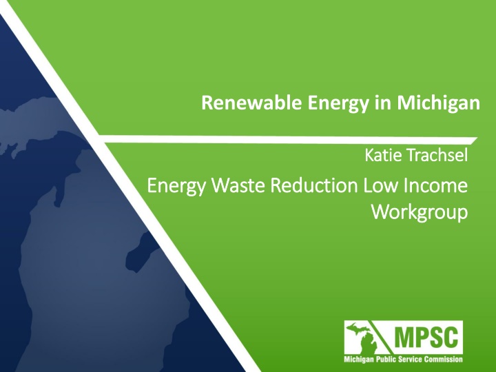 Consumer Perceptions of Green vs. Brown Energy