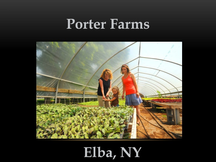 Porter Farms: Pioneers in Organic Farming for Over 60 Years