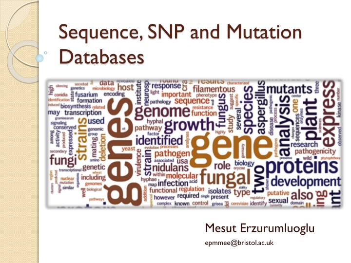 Sequence, SNP and Mutation