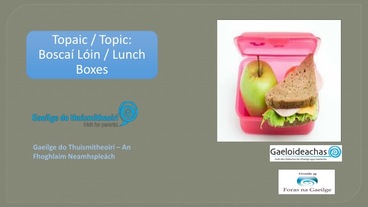 Lunch Boxes Vocabulary in Irish for Parents