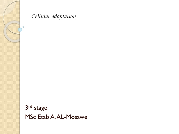 Cellular Adaptation: Types and Examples