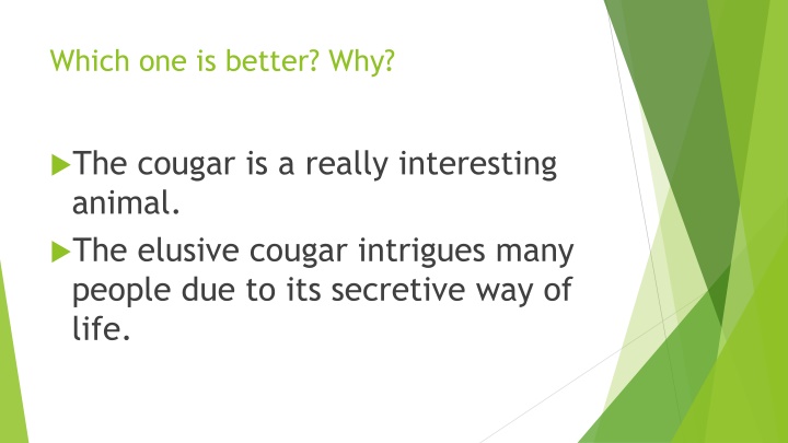 Fascinating Facts About Cougars