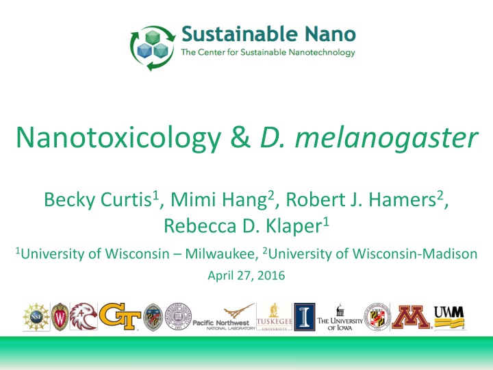 Nanotoxicology and D. melanogaster Research Overview