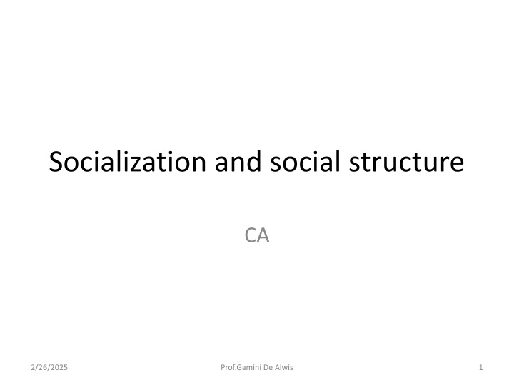 Socialization and social structure