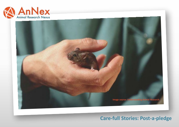 Promoting a Ethical Animal Research Culture