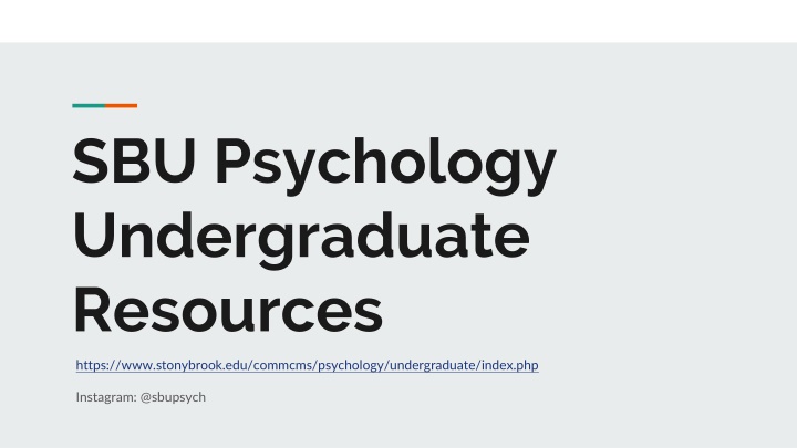 SBU Psychology Undergraduate Resources