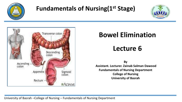 Bowel Elimination  Lecture 6