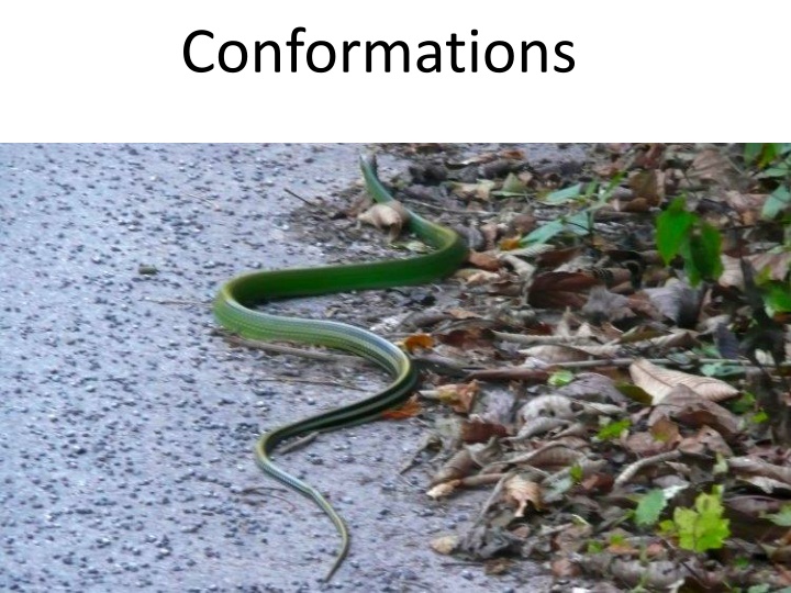 Conformations and Cycloalkanes