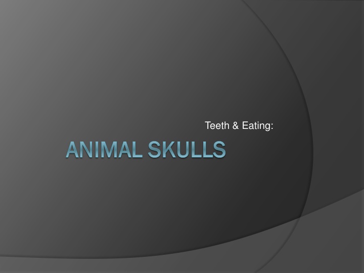 Teeth and Eating in Animal Skulls