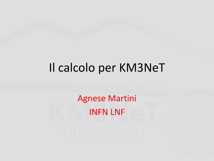 The KM3NeT Research Infrastructure