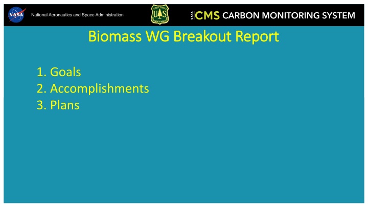 Biomass WG Breakout Report - Goals, Accomplishments, Plans