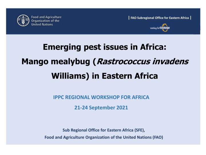 Emerging Pest Issues in Eastern Africa: Mango Mealybug Impact