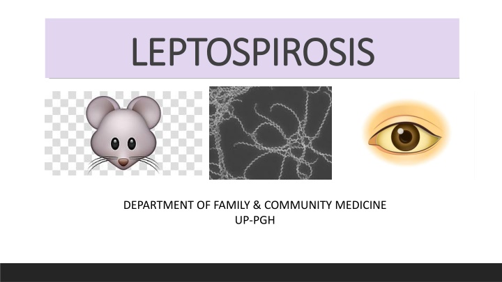 Leptospirosis: A Zoonotic Disease with Varied Clinical Manifestations