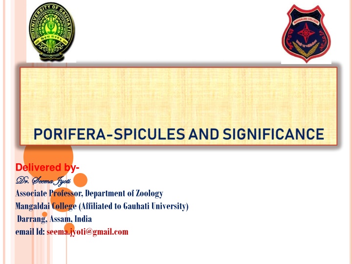 Spicules in Sponge Taxonomy