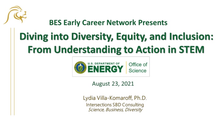 Challenges in STEM Diversity and Implicit Bias