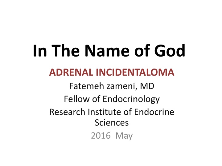 Adrenal Incidentaloma: Etiology, Assessment, and Case Confirmation