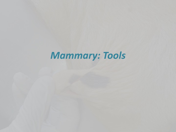 Mammary Tools for Teat Care and Surgery