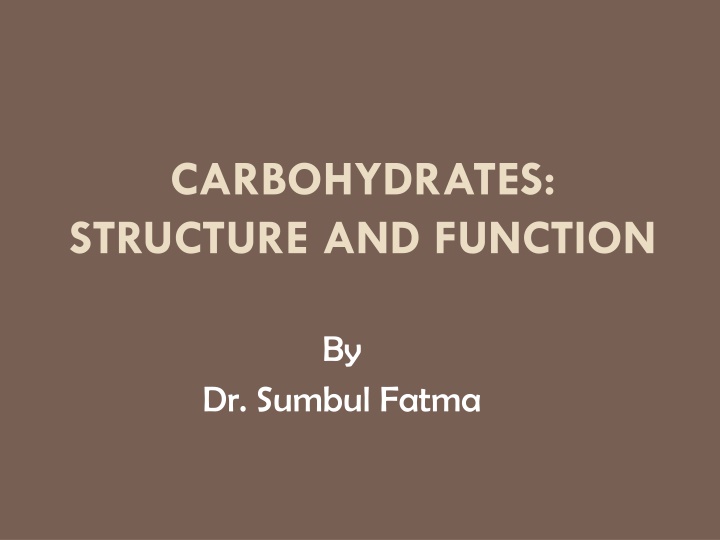 Carbohydrates: Importance, Classification, and Tests