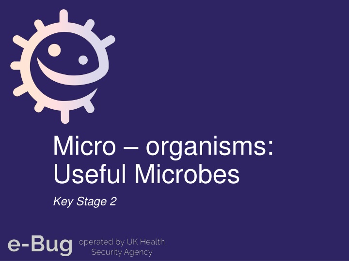 Useful Microbes in Health and Food