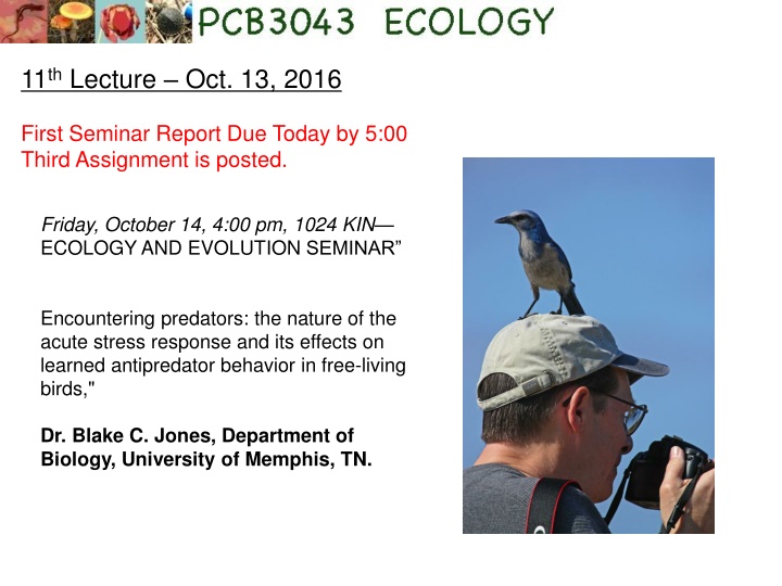 Encountering Predators: Stress Response & Effects on Antipredator Behavior