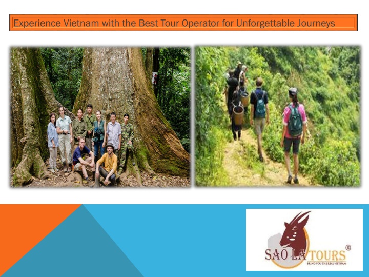 Experience Vietnam with the Best Tour Operator for Unforgettable Journeys