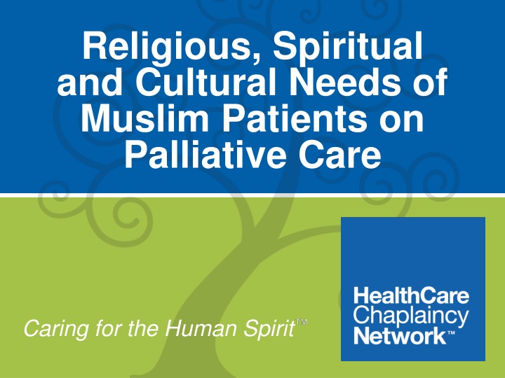 Muslim Patients' Palliative Care: Addressing Religious and Cultural Needs