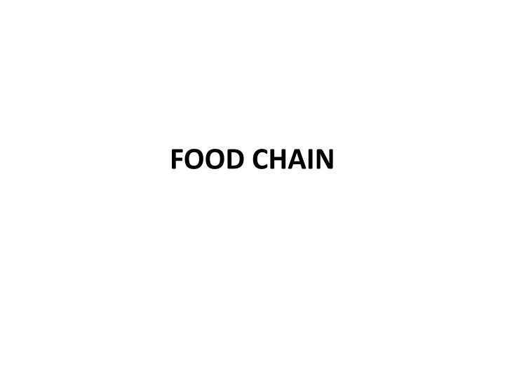 FOOD CHAIN