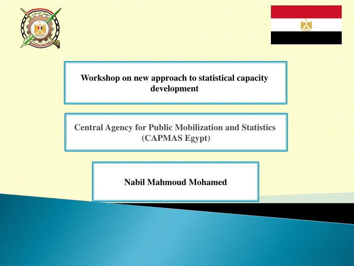 Statistical Capacity Development Workshop at CAPMAS Egypt