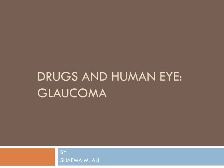 The Human Eye: Understanding Glaucoma and Eye Anatomy