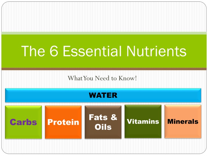 The 6 Essential Nutrients