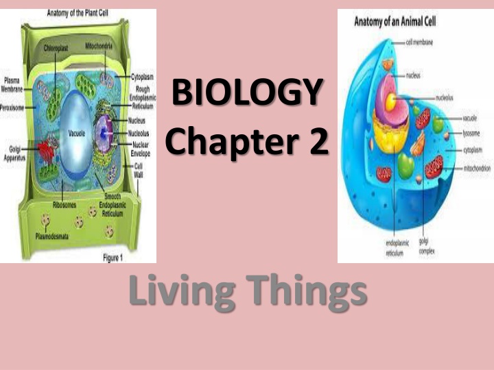 Characteristics of Living Organisms