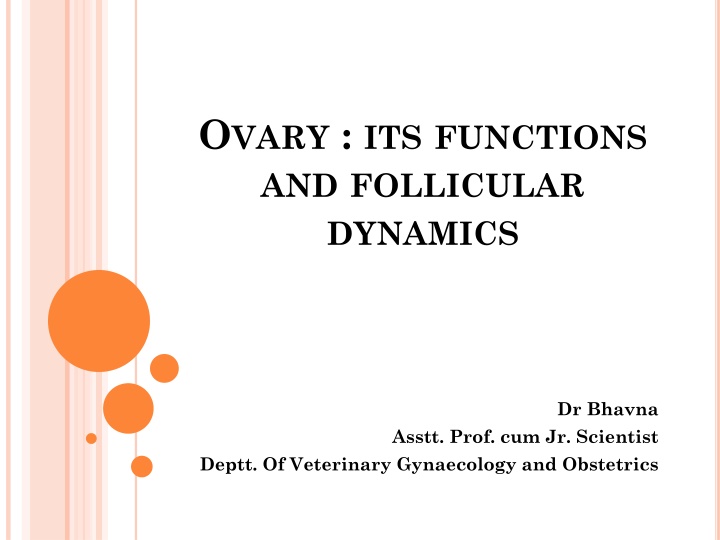 Ovary Functions and Follicular Dynamics in Veterinary Gynaecology