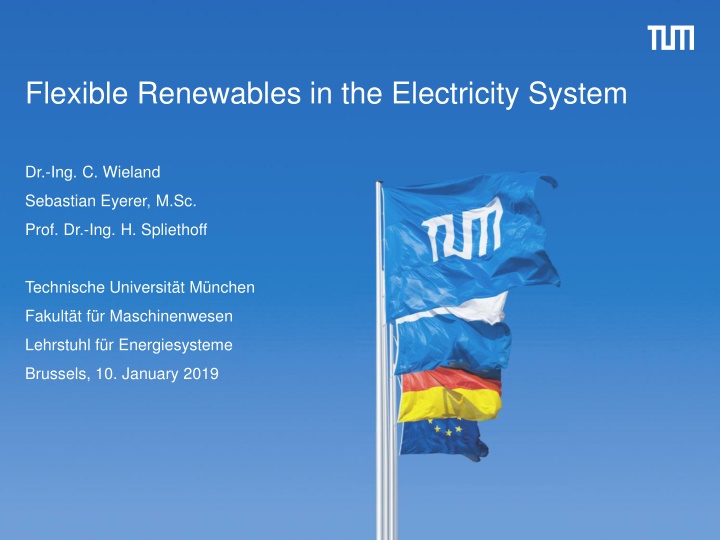 Flexible Renewables in the Electricity System