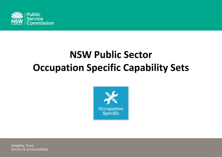 NSW Public Sector Occupation Specific Capability Sets
